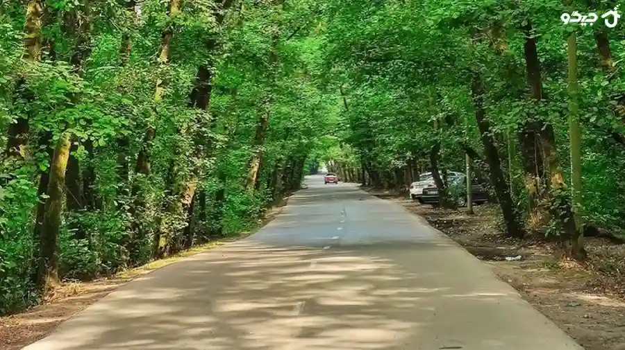 مسیر جاده جنگل گیسوم